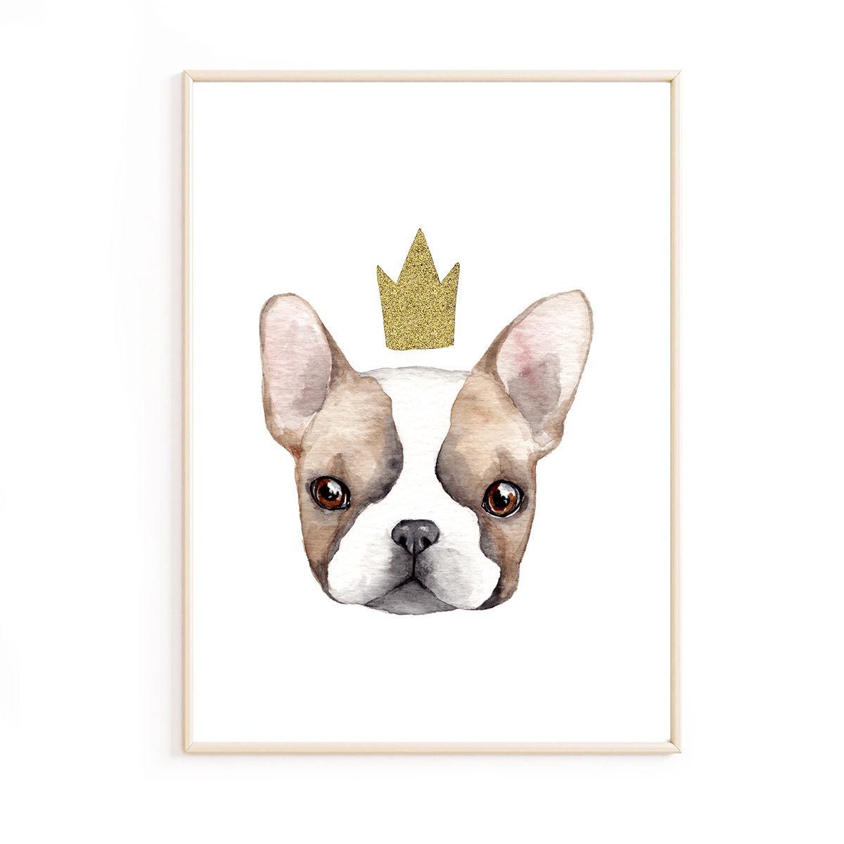 affiche-bull-dog