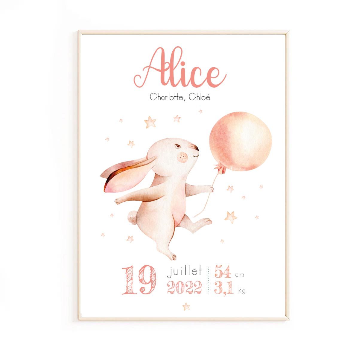 poster-de-naissance-lapin