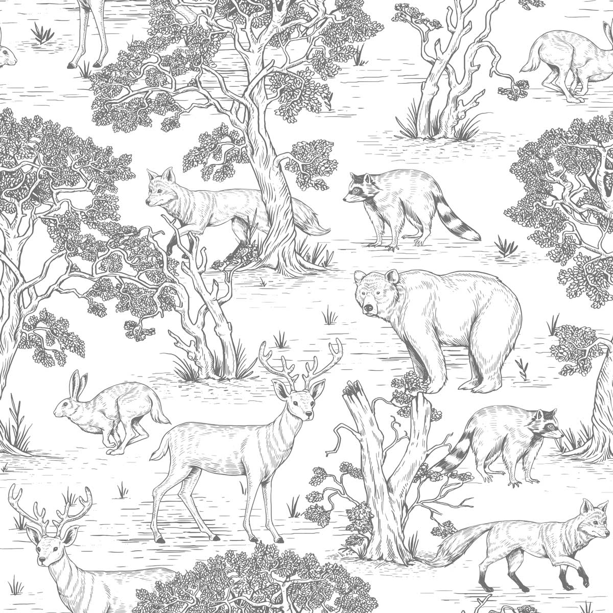 papier-peint-foret