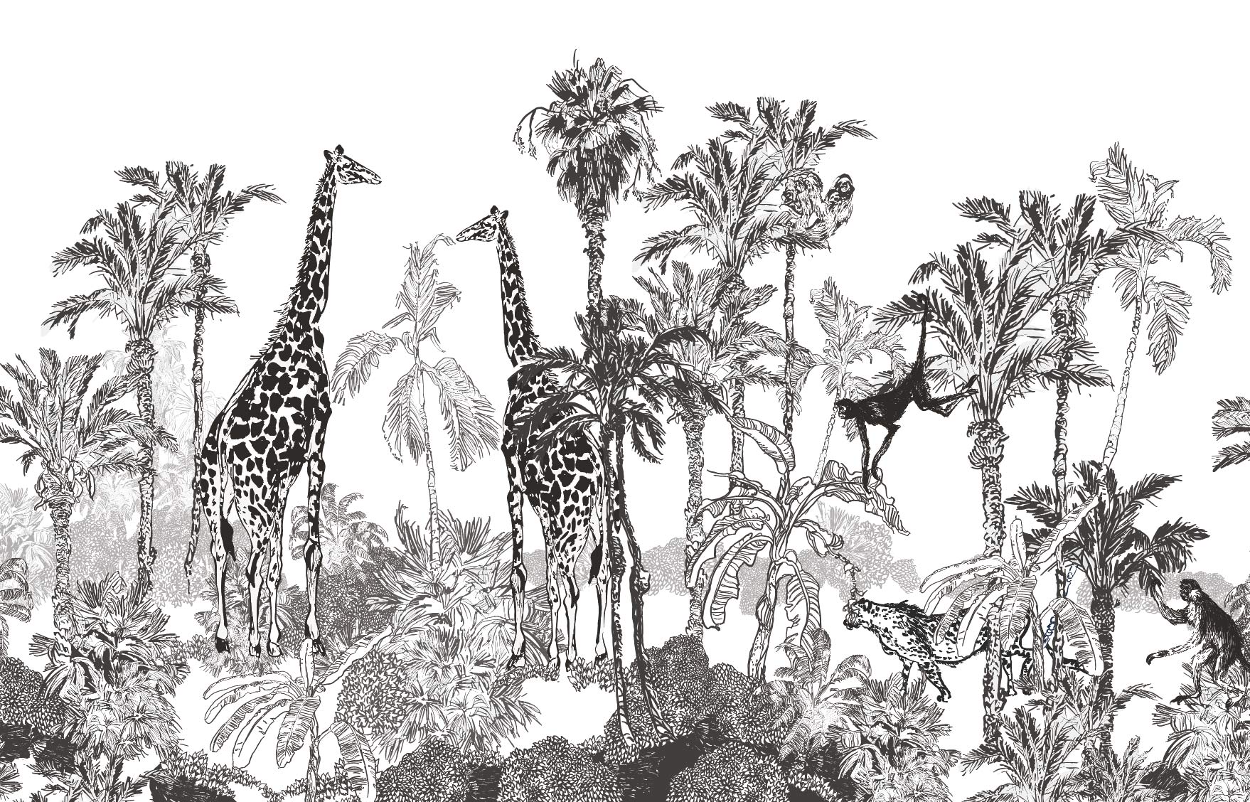 papier-peint-panoramique-jungle-noir-et-blanc